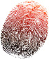 Photo : Sean Gladwell - Fotolia.com Photo : Sean Gladwell - Fotolia.com