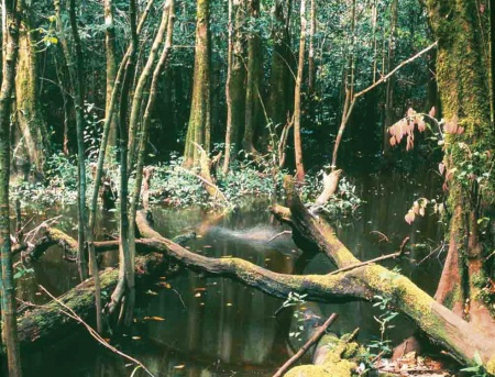 Copyright : A.R. Devez, ECOTROP-CNRS.