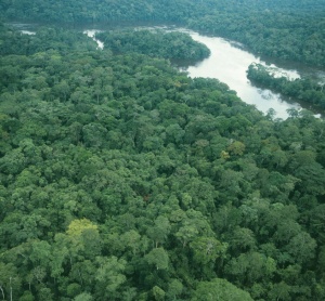 Copyright : Station Biologique de Paimpont