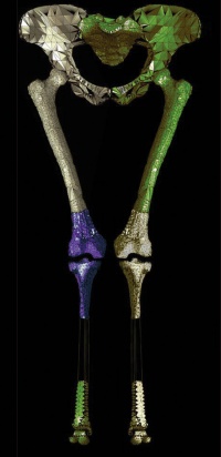 Copyright : Gilles Berillon, CNRS