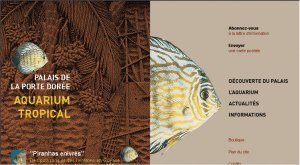 Copyright : Aquarium tropical de la Porte Dorée