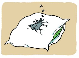 Copyright : W. Augel