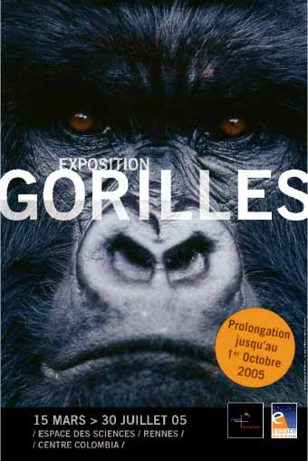 Gros plan d'une tête de gorille