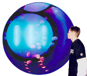 © Chrsitelle Gony / Aquarium de Saint-Malo