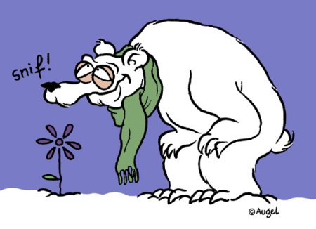 Copyright : W. Augel