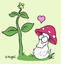 Copyright : W. Augel
