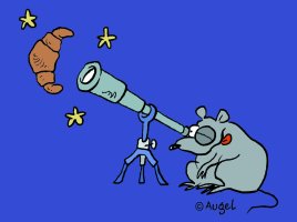 Copyright W. Augel