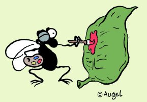 Copyright W. Augel