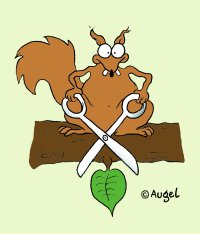 Copyright : W. Augel