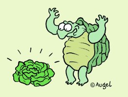 Copyright W. Augel