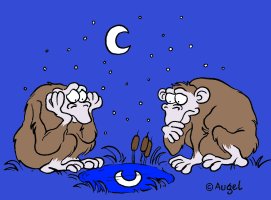 © Augel