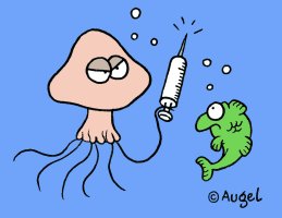 © Augel
