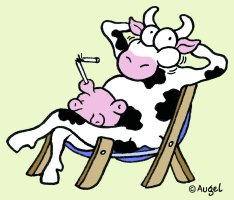 pourquoi la vache rumine t elle