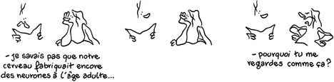 Dessin du mois de mars 2011