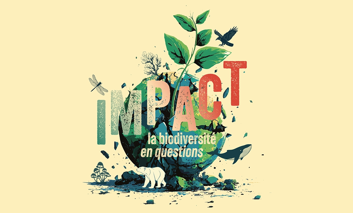 visuel de l'exposition IMPACT