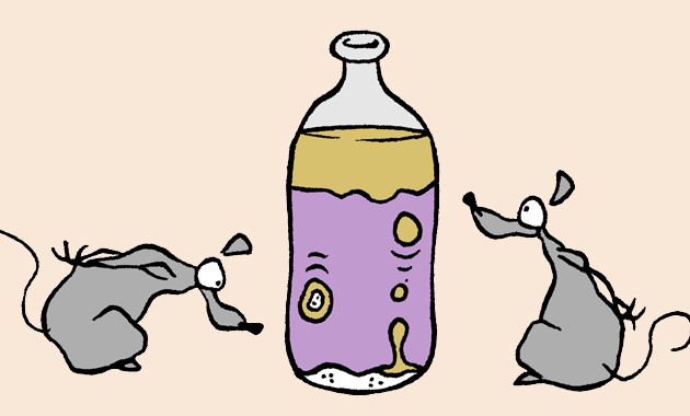 illustration d'une expérience