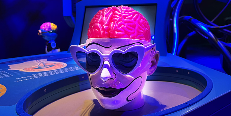 tête de mannequin avec des lunettes en forme de coeur