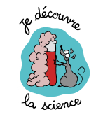 Pourquoi l'eau éteint-elle le feu ? - Curieux!