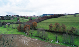 paysage de campagne avec des champs verdoyants
