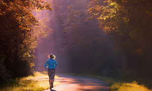 personne faisant du footing dans la forêt