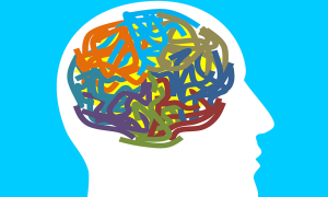 visuel illustratif d'un cerveau