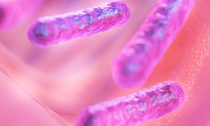 microbiote