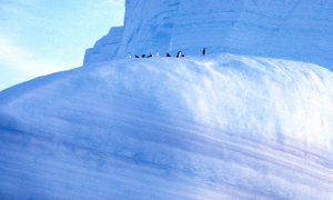 grande étendue de glace