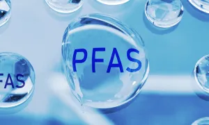 © Zimmytws - Istock.jpg