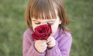 petite fille reniflant une rose rouge
