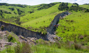 Photo d'un champs verdoyant, avec une fissure en plein milieu