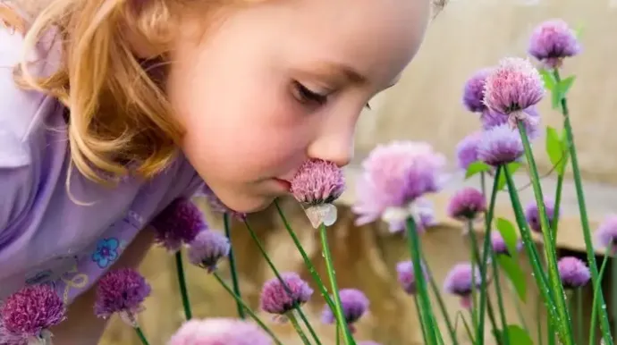 une petite fille respirant le parfum des fleurs de printemps