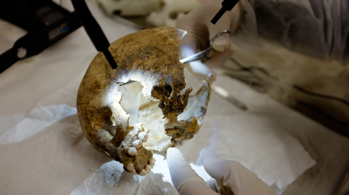 Un archéologue restaure un crâne néandertalien, trouvé sur le site de La Ferrassie (Dordogne).