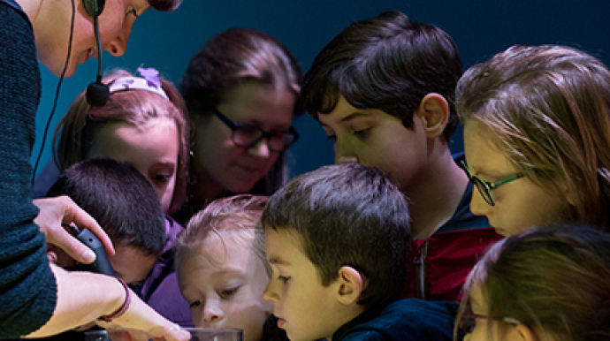 activité pédagogiques avec enfants