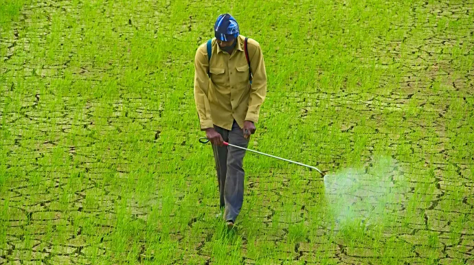 Photo d'une personne dans un champ