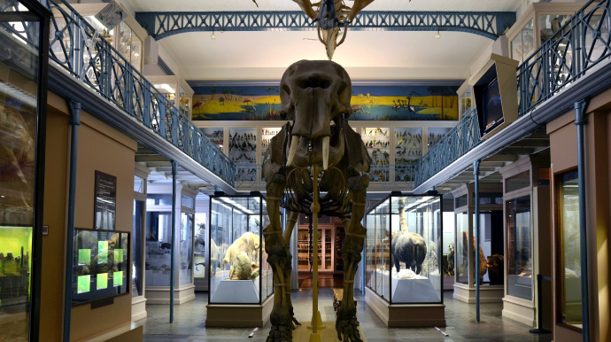 Musée d'histoire naturelle