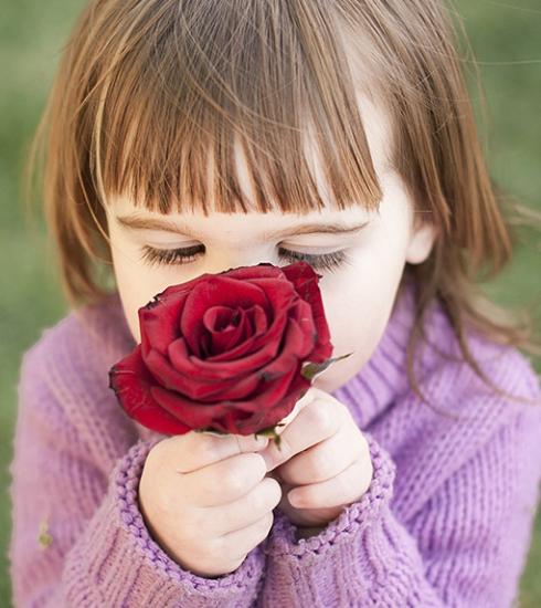 petite fille reniflant une rose rouge