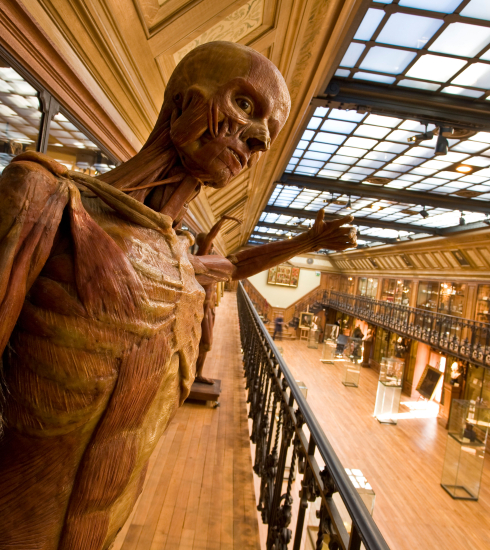 musée de médecine Paris