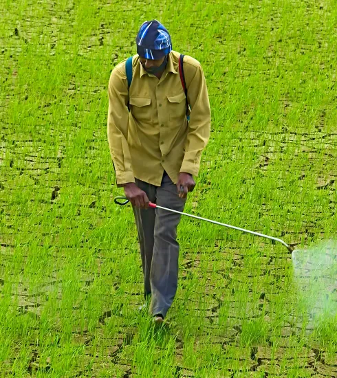 Photo d'une personne dans un champ