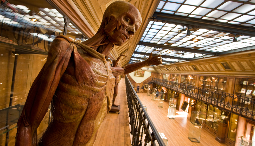 musée de médecine Paris