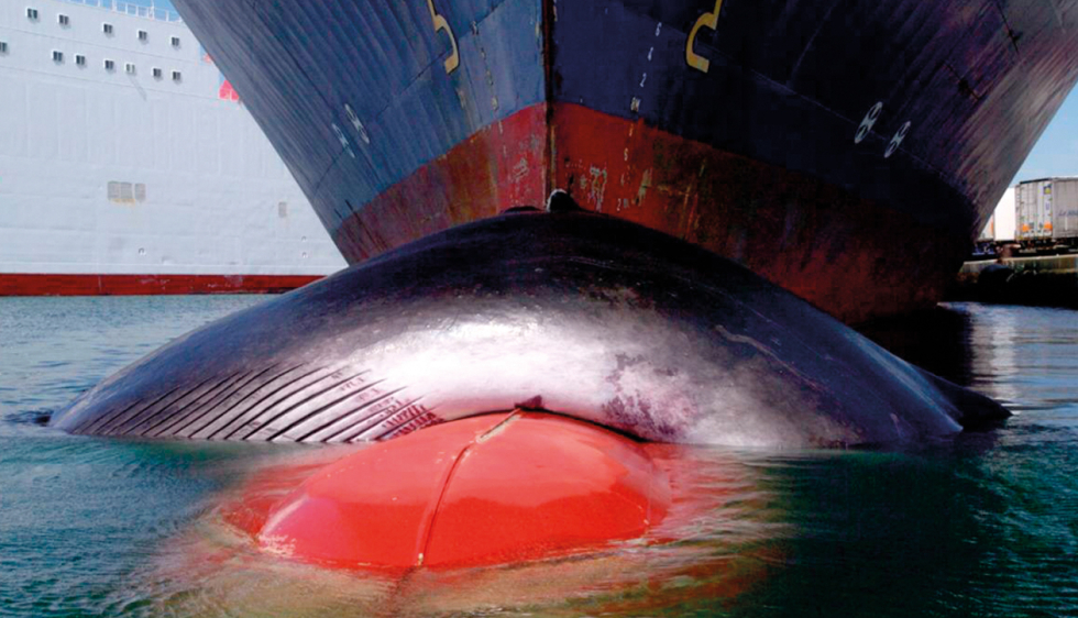 Sac d'activités à personnaliser - Baleine pour l'anniversaire de