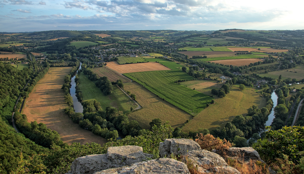 Bocage 