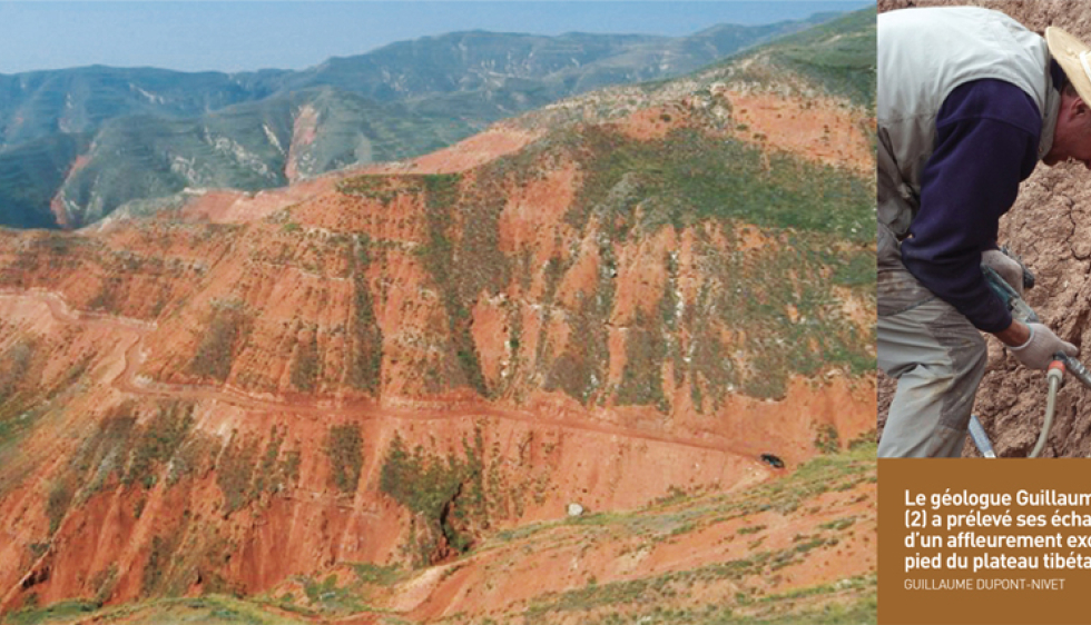 Protection en mousse pour le mur derrière le lit Montagnes - vert 