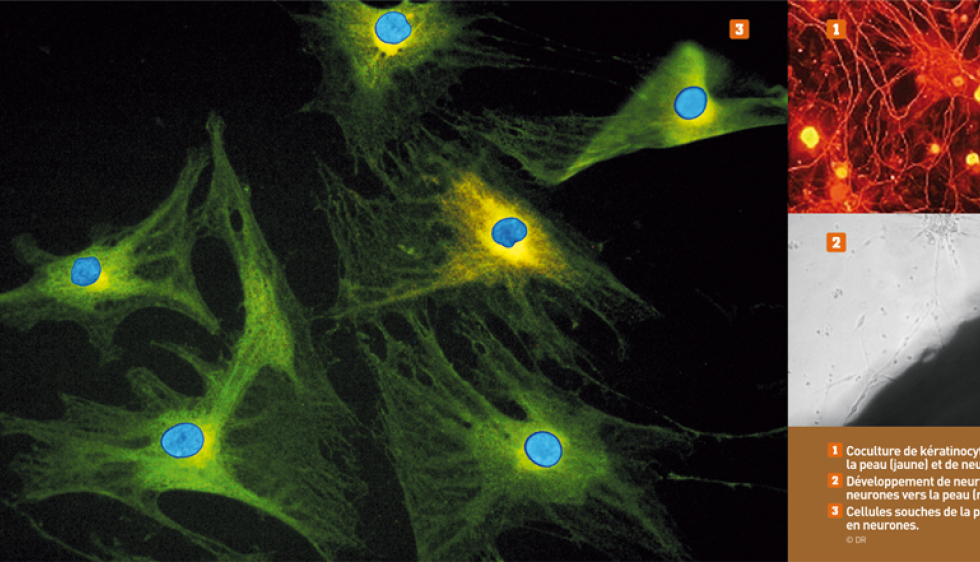 Comment fonctionnent les pierres d'humeur ? - Couleur-Science