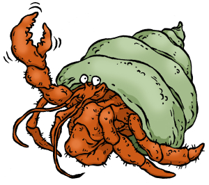 Un Crabe Ermite Animal Repose Isolé Sur Des Visages Blancs Laissés Banque  D'Images et Photos Libres De Droits. Image 19327811