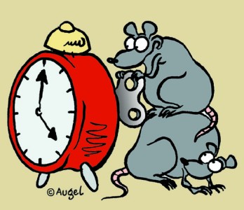 Copyright : W. Augel