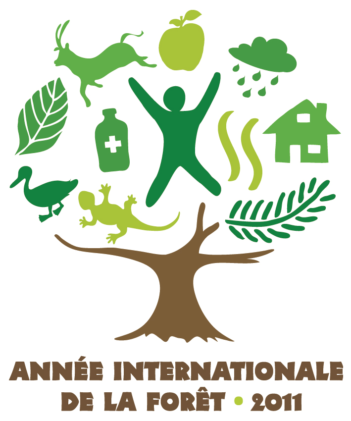 Année internationale de la forêt