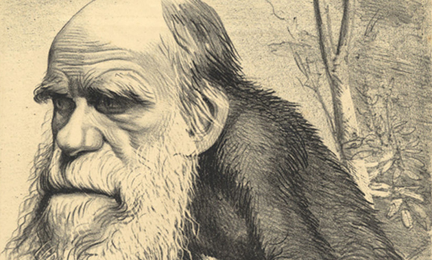 Darwin : la théorie de l'évolution et la génétique humaine ...