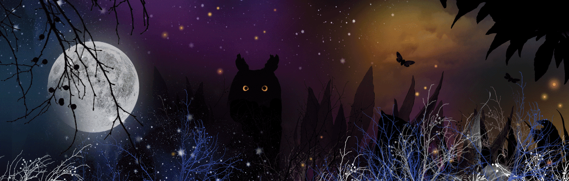 https://www.espace-sciences.org/sites/espace-sciences.org/files/images/expositions/08_bandeau_nuit-juste_yeux.gif