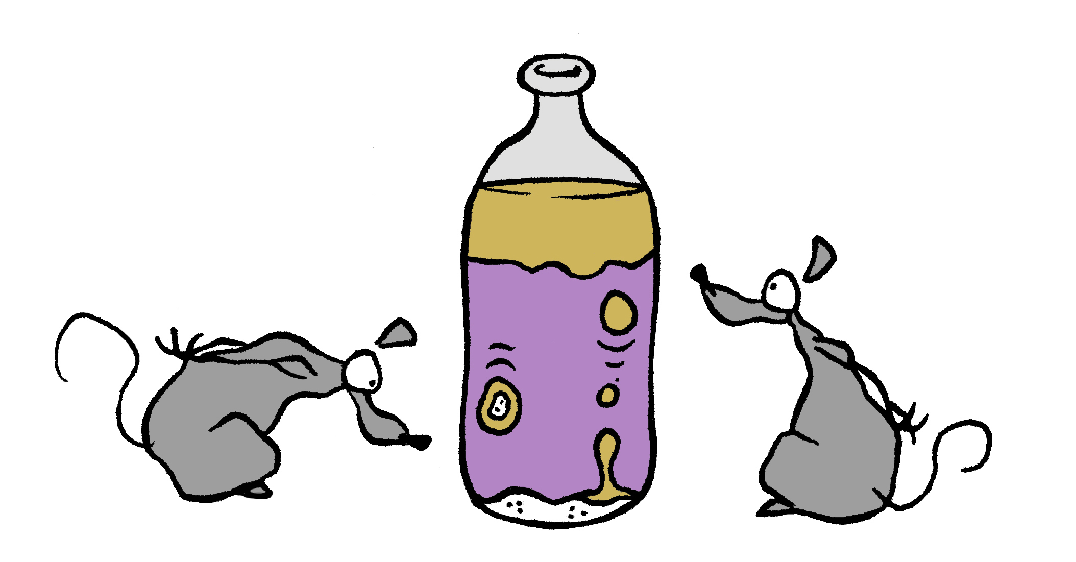 La Danse De L Huile Et Du Sucre Espace Des Sciences