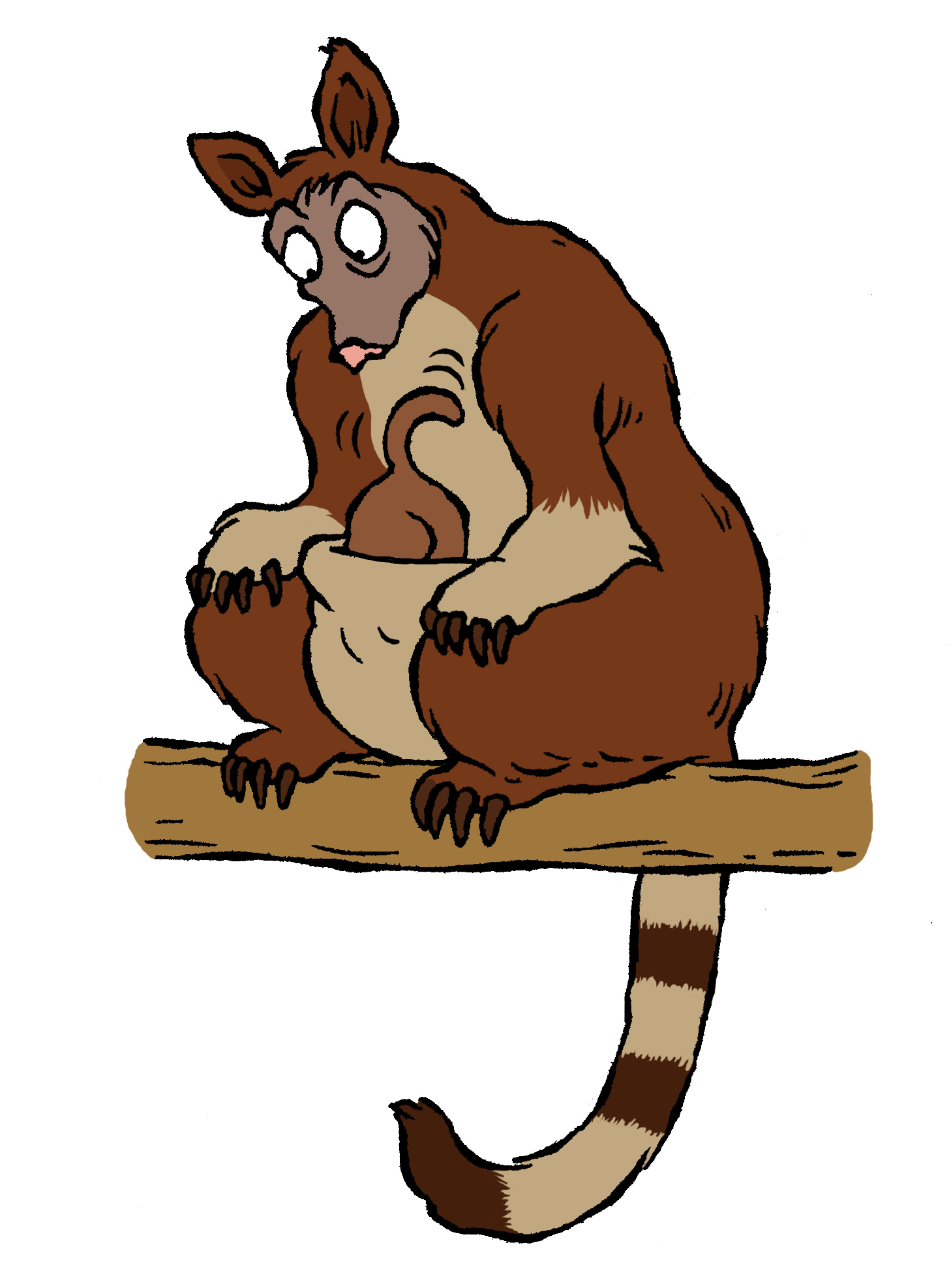 Un Kangourou Qui Vit Dans Les Arbres Espace Des Sciences